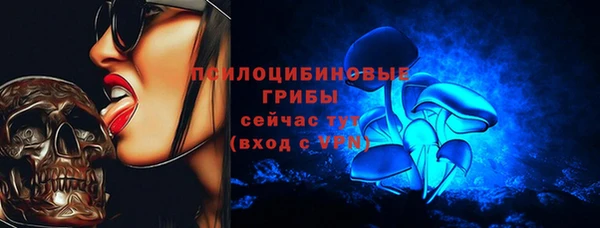 стафф Кодинск
