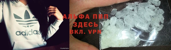 стафф Кодинск