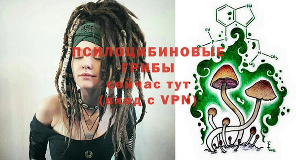 а пвп мука Козловка