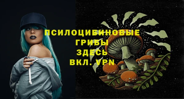 стафф Кодинск