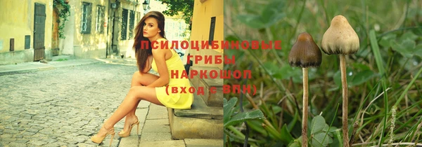 марки lsd Козельск