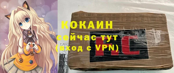 стафф Кодинск