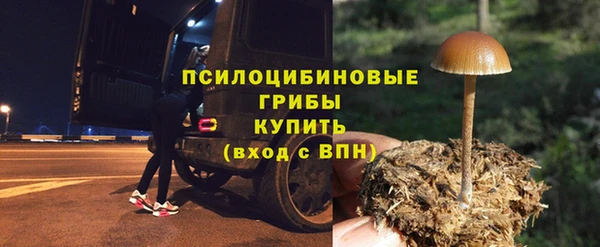 марки lsd Козельск