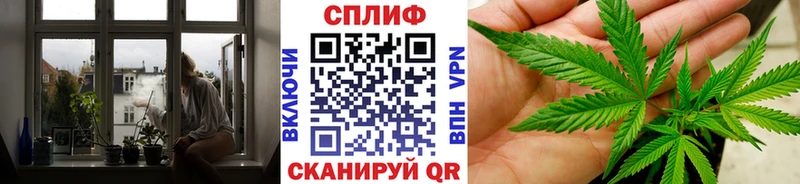 Бошки Шишки Amnesia  Купить где  Гусев 